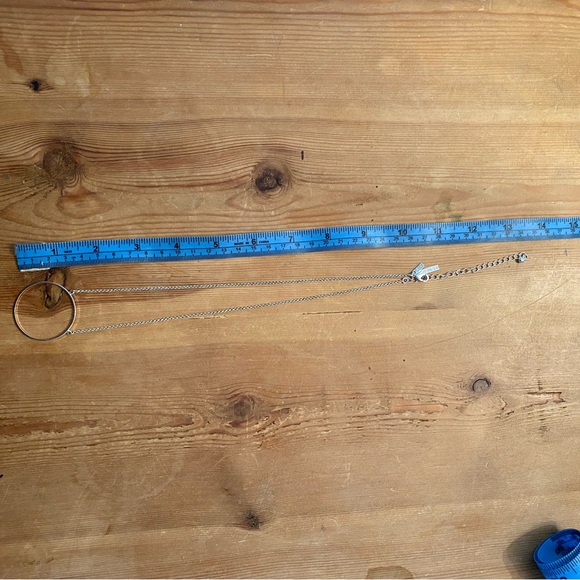 Lele Sadoughi Silver Circle Necklace - Picture 3 of 4